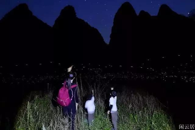 弹球大战俄罗斯方块